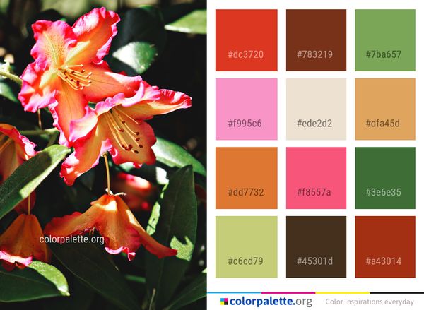 Flower Plant Flora Color Palette