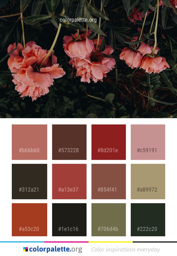 Flower Plant Pink Color Palette