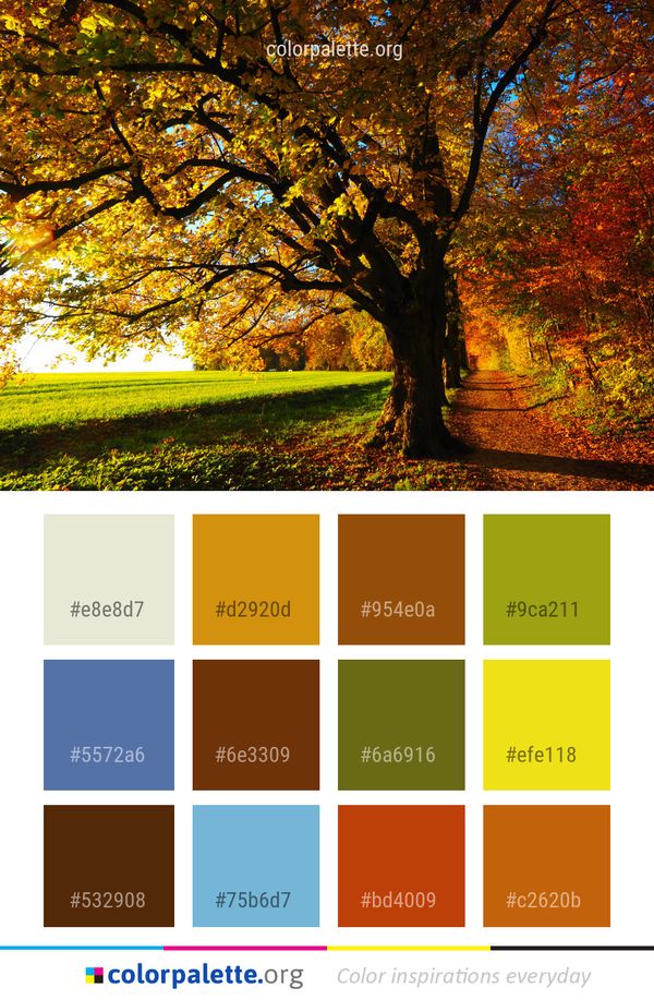 Nature Leaf Tree Color Palette