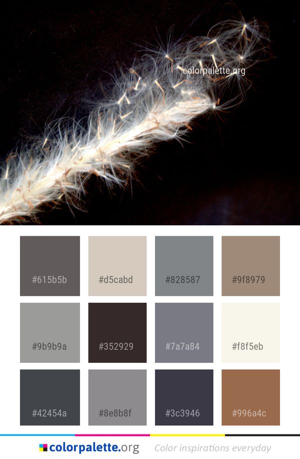 Organism Darkness Computer Wallpaper Color Palette