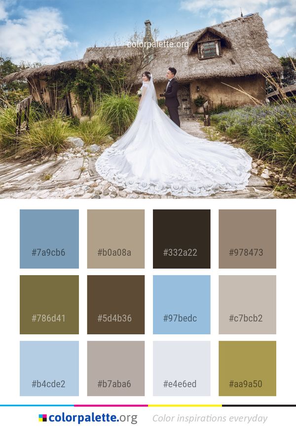 Photograph Gown Dress Color Palette