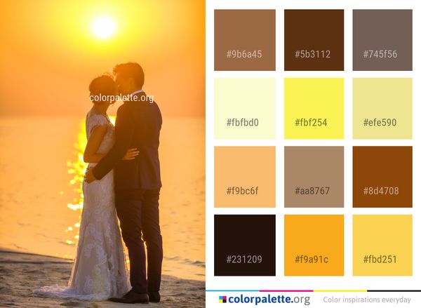 Photograph Man Yellow Color Palette