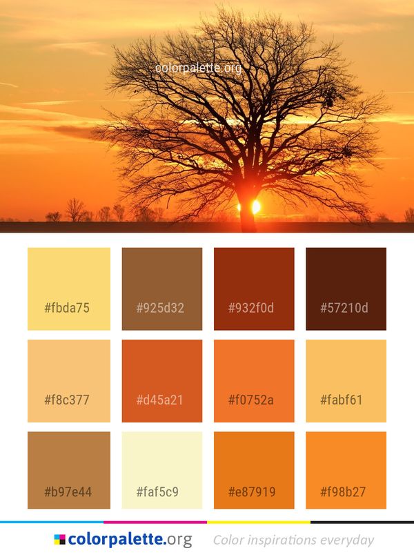 Sky Nature Tree Color Palette
