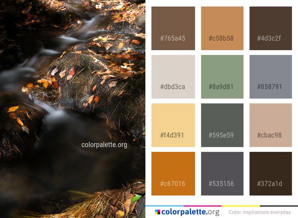 Water Nature Stream Color Palette